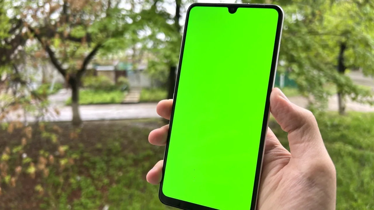 Elinde akıllı telefon tutan kişi